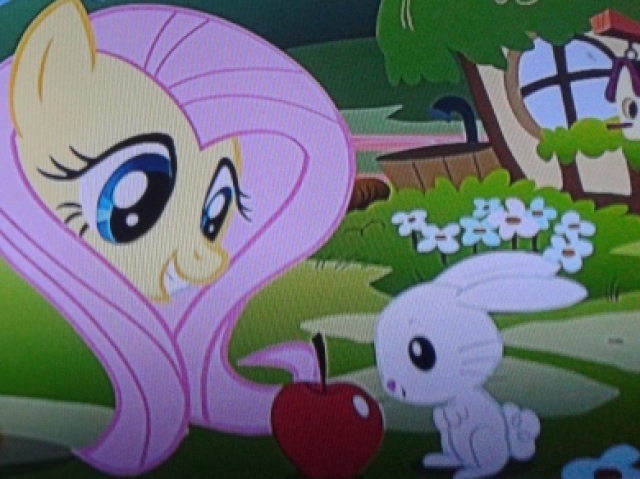 Fluttershy