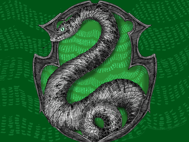 Sonserina (Slytherin)