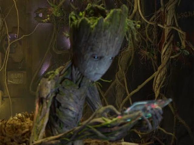 Groot