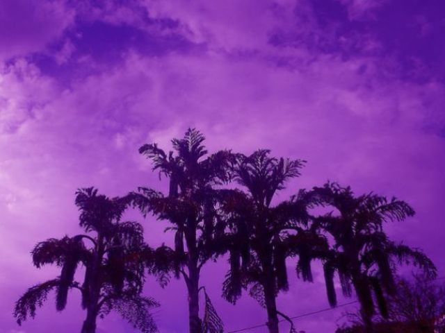 Roxo