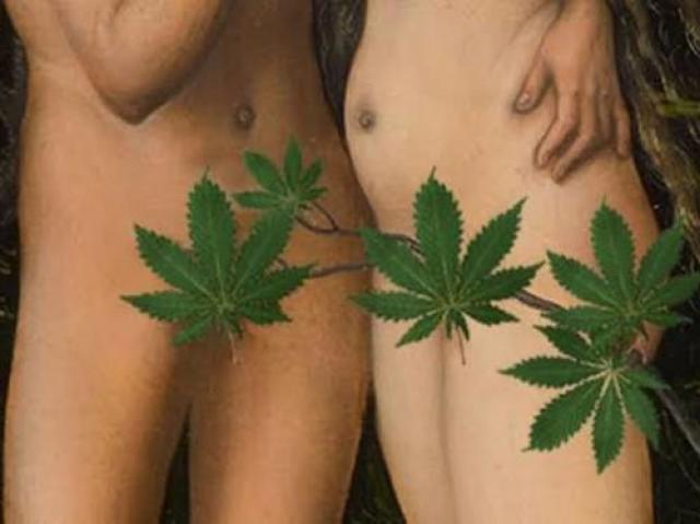 Weed e sexo