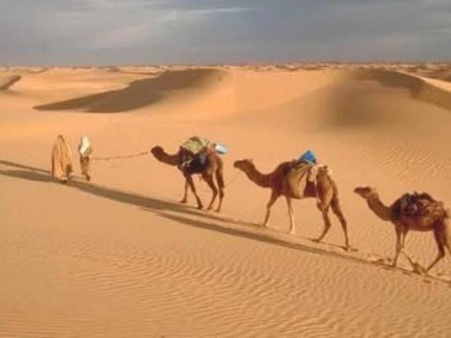 Deserto