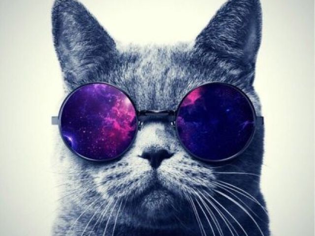 Ham não gostei aff
Ele e horrivel
A F F F F F
OCUCULÓS
FOFOHH