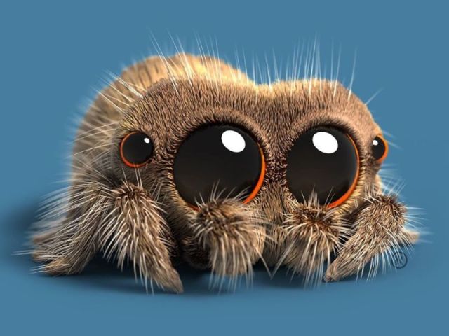 Aranhas