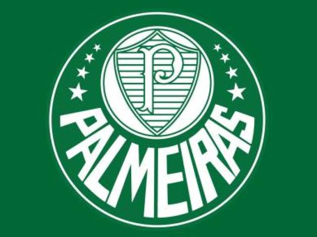 Jogar futebol profissional no palmeiras