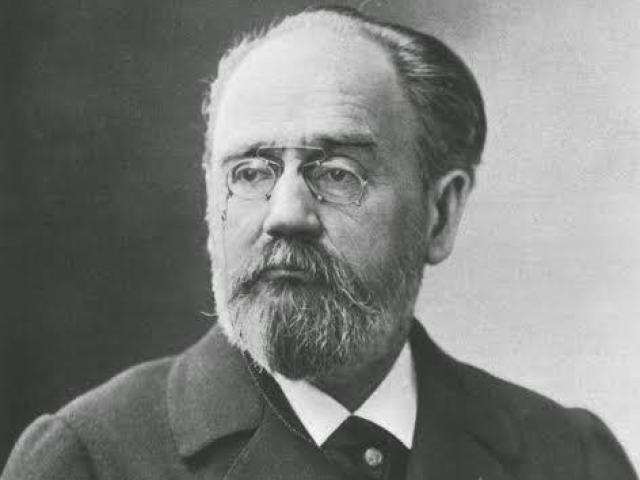 Émile Zola escreveu romances de tese e influenciou escritores brasileiros.