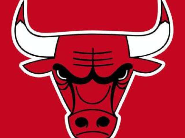 Chicago bulls