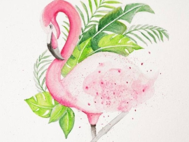 Flamingo