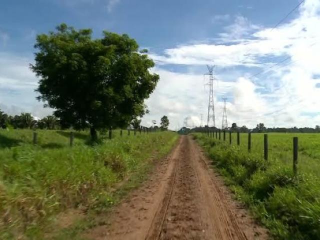 Campo