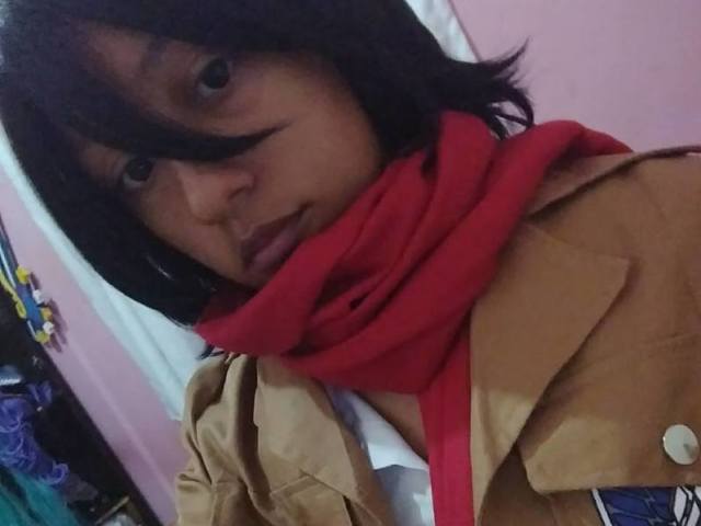 Mikasa - Shingeki no kyojin