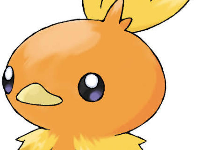 Torchic