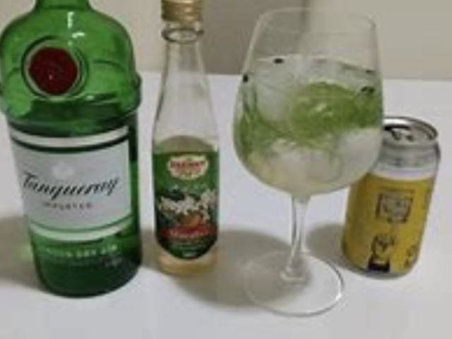 Gin Tônica