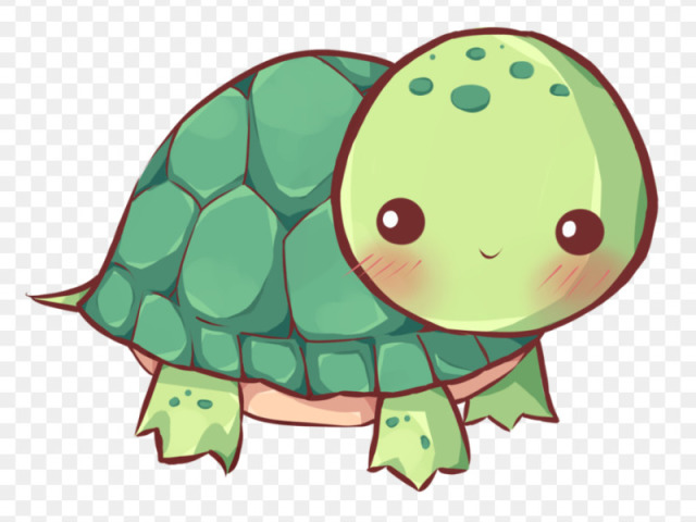 Tartaruga 🐢