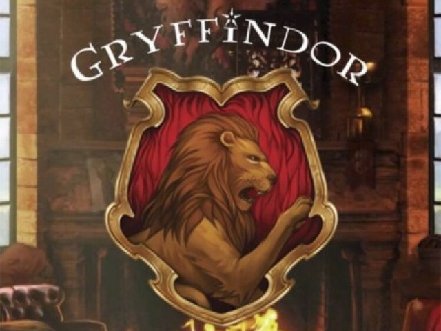 Grifinoria🦁