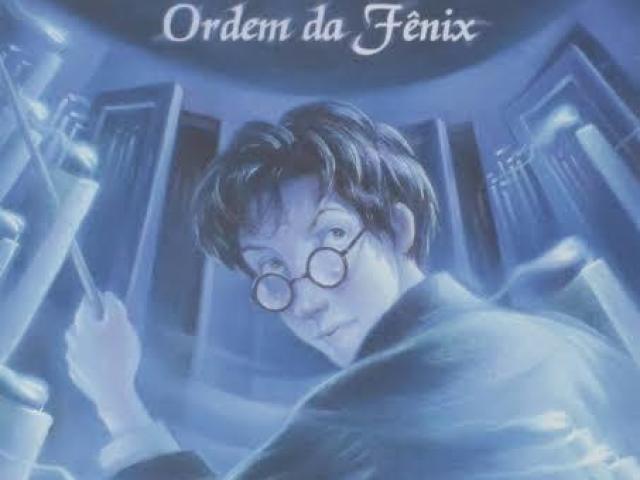 Ordem da fênix (o quinto), o livro que eu mais amo e mais sofro... nele aprofundamos ainda mais no ministério da magia, aprendemos mais sobre o mundo bruxo, conhecemos mais sobre Sirius Black, mas também o perdemos... ele morre e Harry perde aquele que considerava como um pai... sempre choro