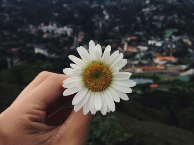 Monte o seu dia com o crush!