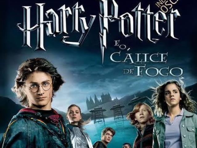 Harry Potter e o Cálice de Fogo (4)