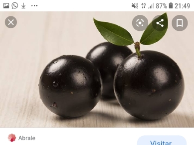 Jabuticaba