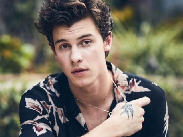 Shawn Mendes