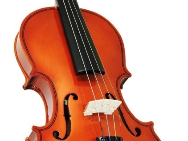 Violino