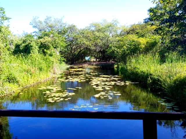 Parque do Cocô