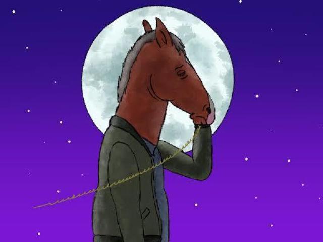 Bojack horseman