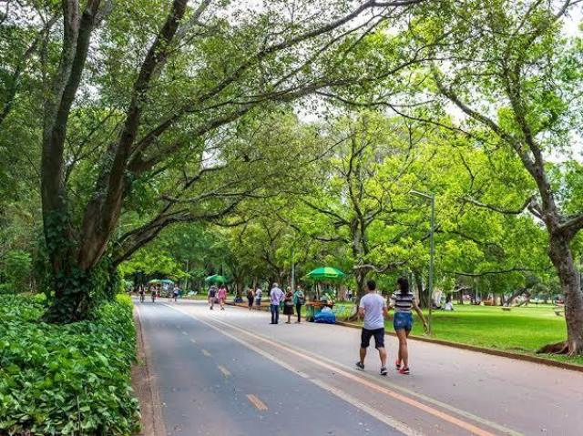 Parque