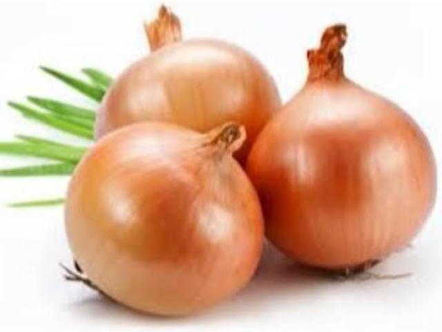 Cebola