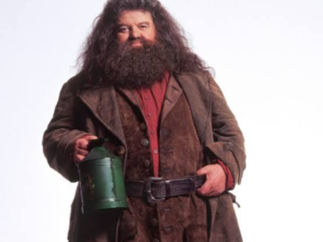 Rubeo Hagrid