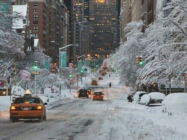 Frio