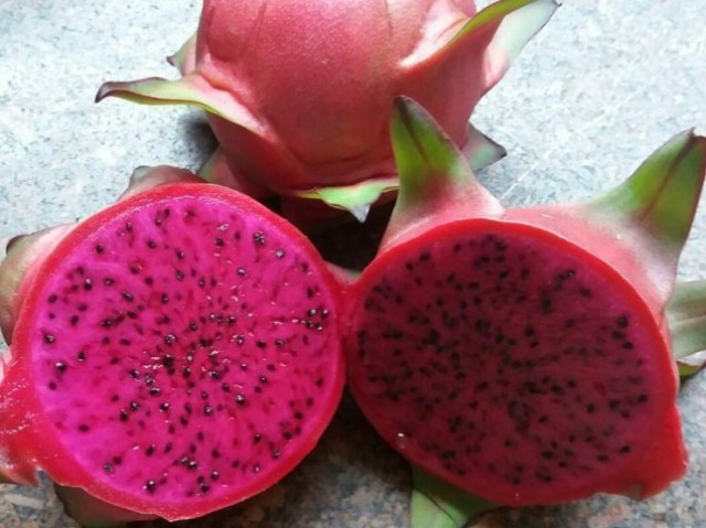 Pitaya