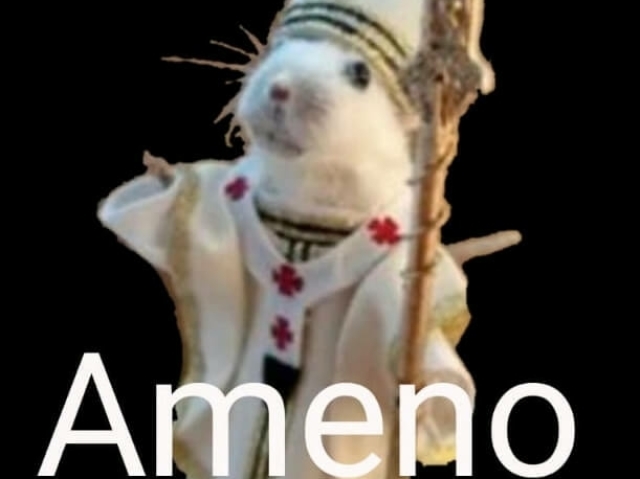 Ameno