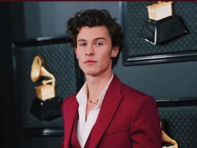 shawn mendes