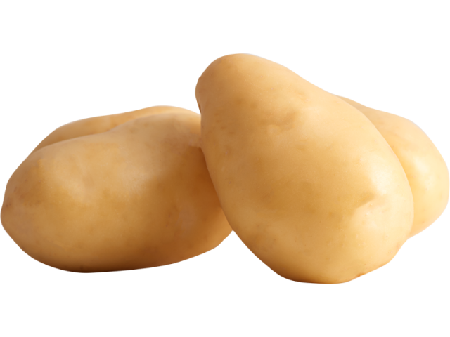 Batata