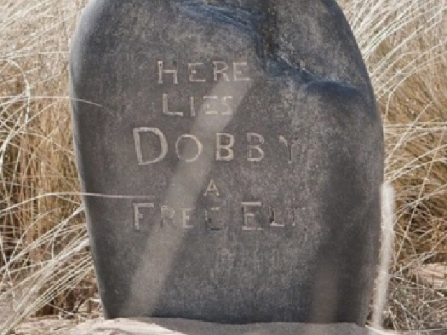 Dobby, um elfo livre
