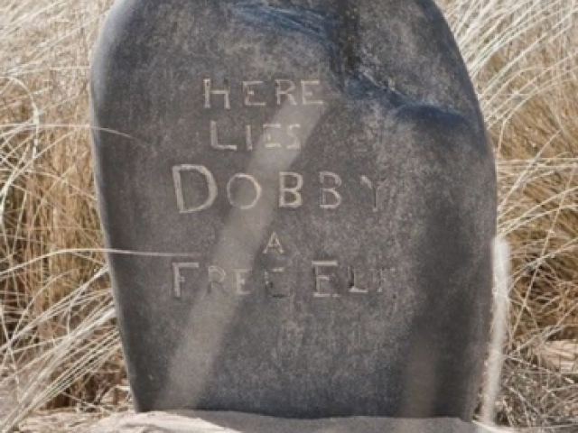 Dobby, um elfo livre