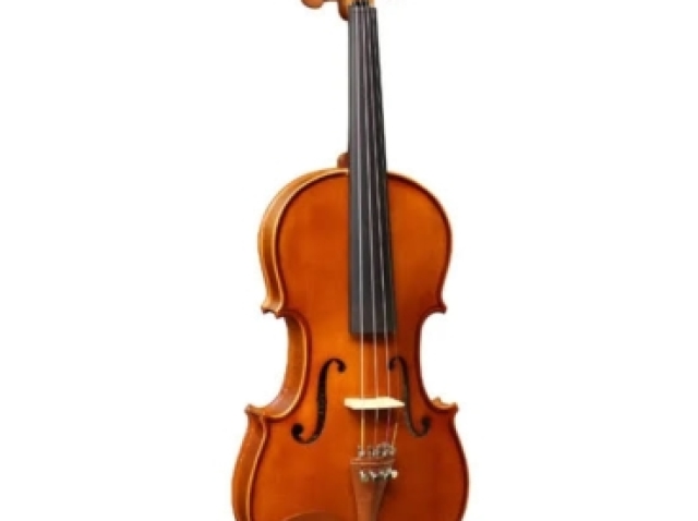 Violino