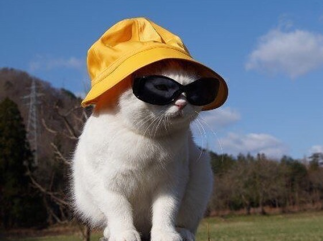 So Cool