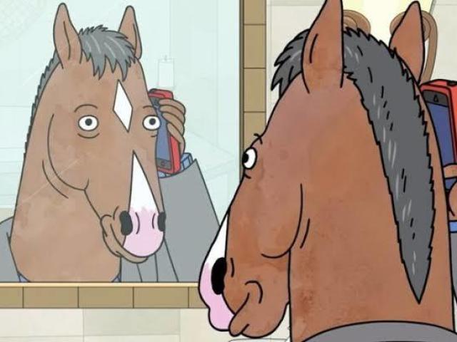 Bojack horseman