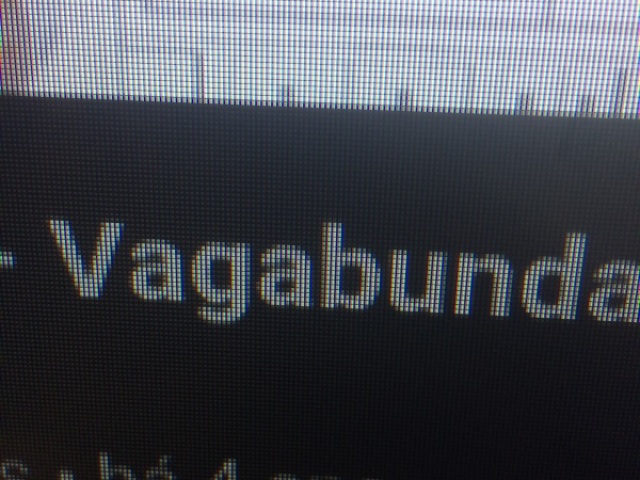 Vagabunda