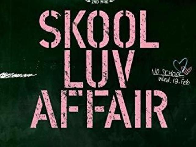 Skool Luv Affair