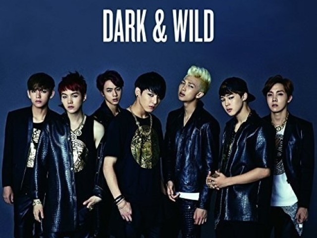 Dark & Wild