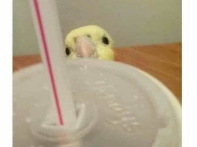Fala que ta com fome