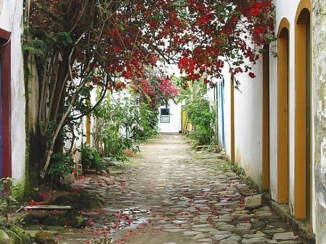 Um passeio na rua