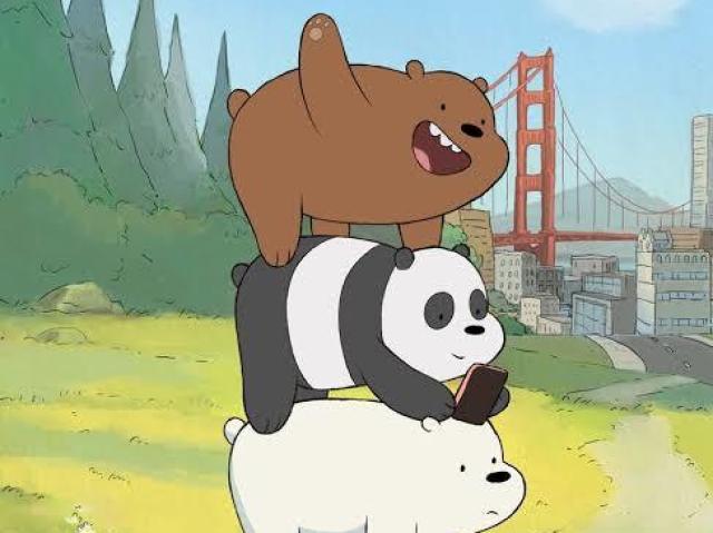 Urso Sem Curso