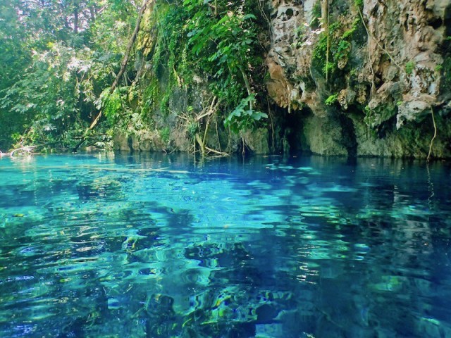 perto da lagoa
(357)