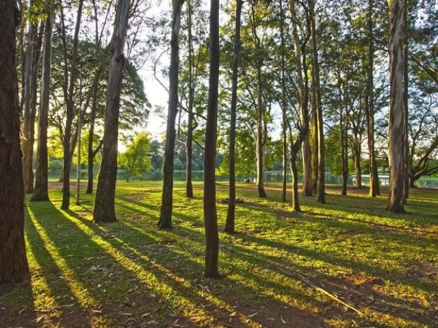 PARQUE DA CIDADE