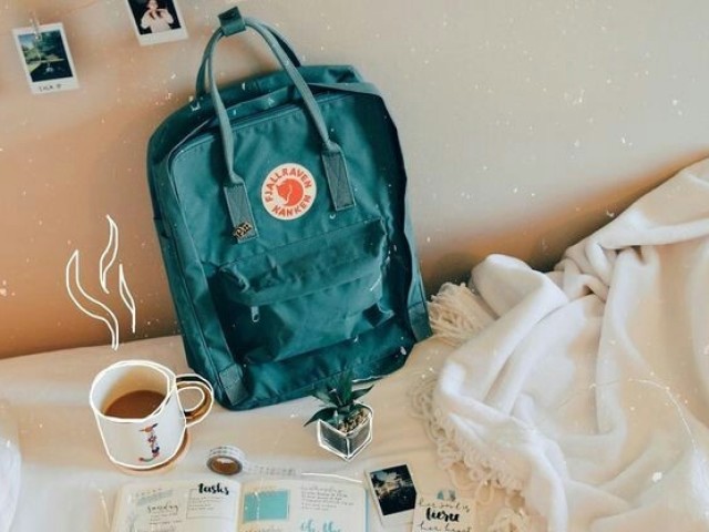 Material Tumblr🌼