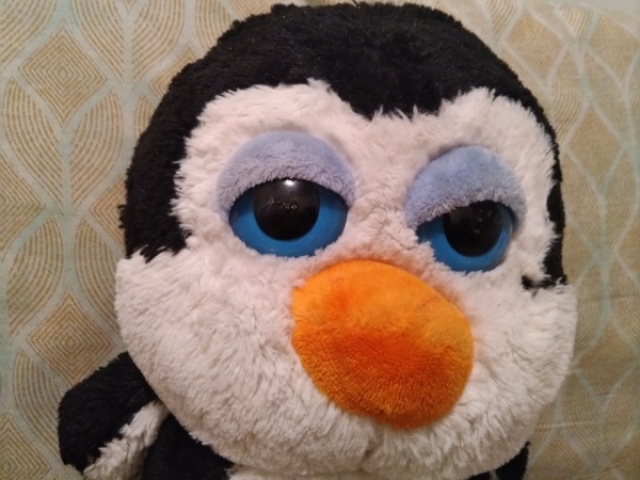 Mr.pinguin