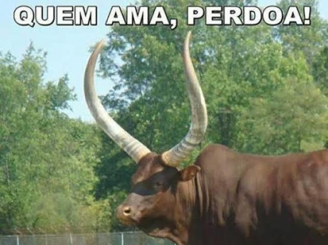 Quem ama perdoa